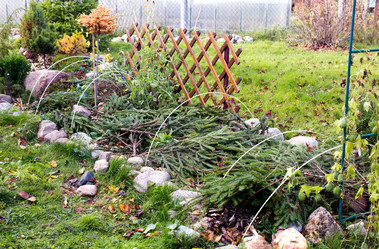 Similar image 21678121