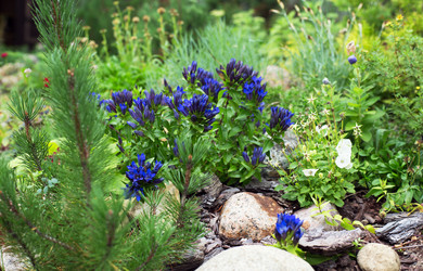 Similar image 21678122