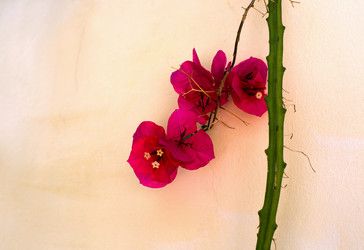 Similar image 21678126