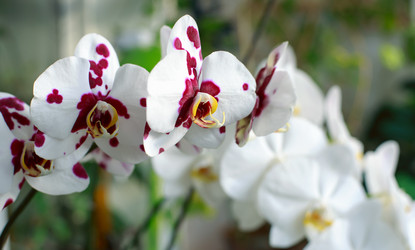 Similar image 21678127