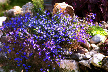 Similar image 21678134