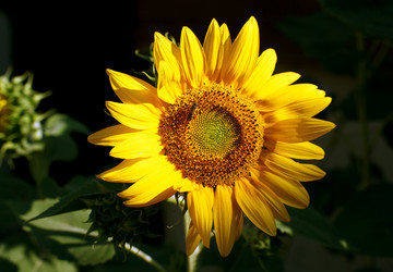 Similar image 21678139