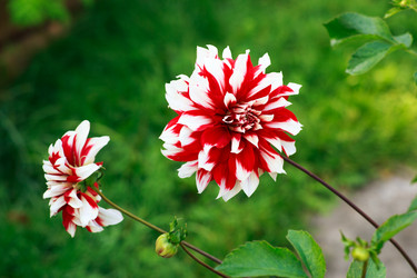 Similar image 21678140