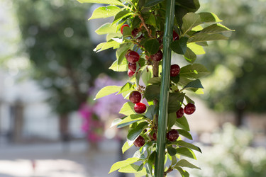 Similar image 21678143