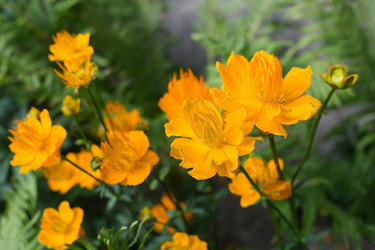 Similar image 21678145