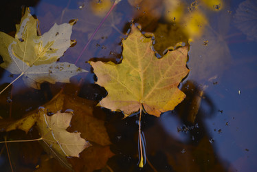 Similar image 21678146