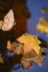 Similar image 21678147