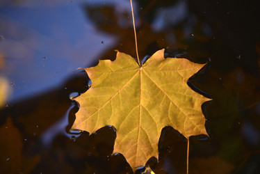 Similar image 21678148