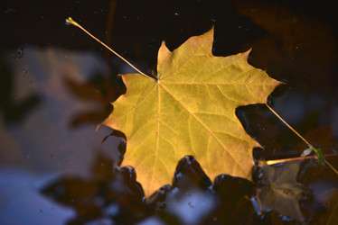 Similar image 21678149