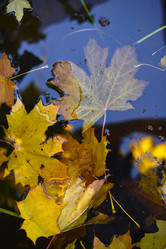 Similar image 21678152