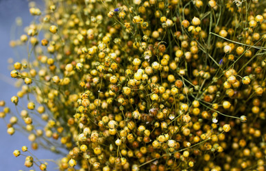 Similar image 21678159