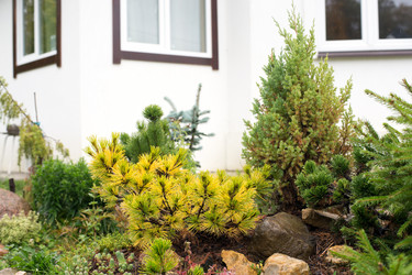 Similar image 21678161