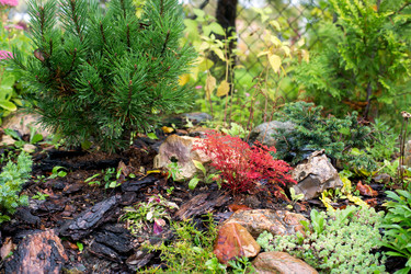 Similar image 21678224