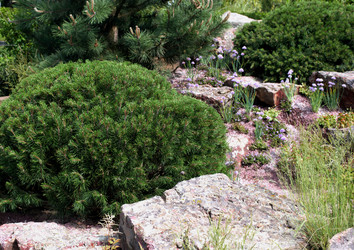 Similar image 21678225