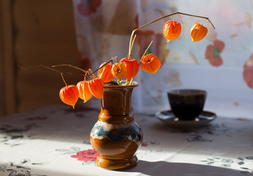 Similar image 21678229