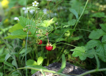 Similar image 21678237