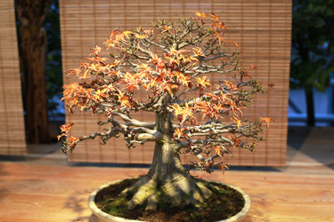 Similar image 21678238