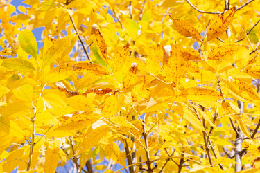 Similar image 21678245