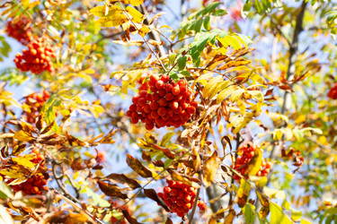 Similar image 21678247