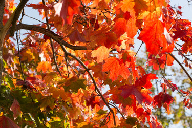 Similar image 21678250