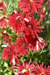 Similar image 21678164