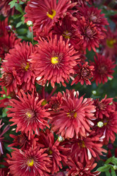 Similar image 21678165