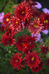 Similar image 21678166