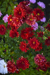 Similar image 21678167