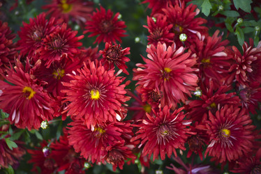 Similar image 21678168