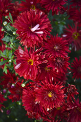 Similar image 21678169