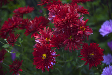 Similar image 21678170