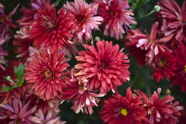 Similar image 21678171