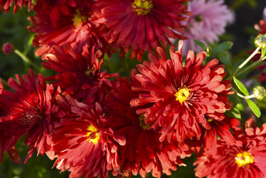 Similar image 21678172