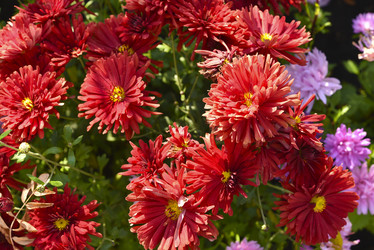 Similar image 21678173