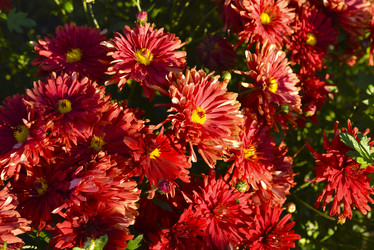 Similar image 21678174