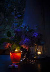 Similar image 21680375