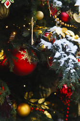 Similar image 21680394