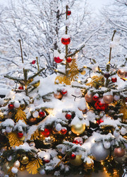 Similar image 21680402