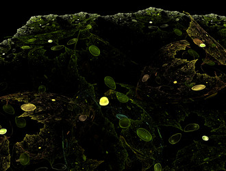 Similar image 21681524