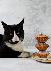 Similar image 21677912