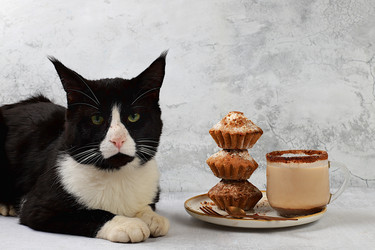 Similar image 21677916