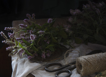 Similar image 21680211