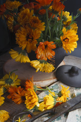 Similar image 21680226