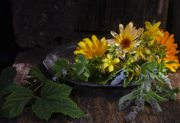 Similar image 21680228