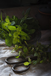 Similar image 21680229