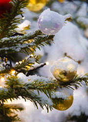 Similar image 21680326