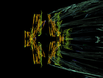 Similar image 21681123