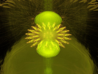 Similar image 21681540