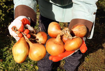 Similar image 21678180