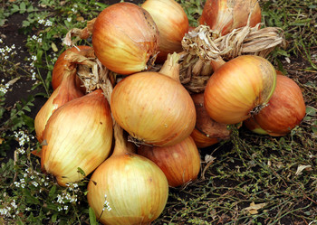 Similar image 21678181